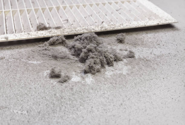 Best Ventilation Cleaning Services  in Oceana, WV