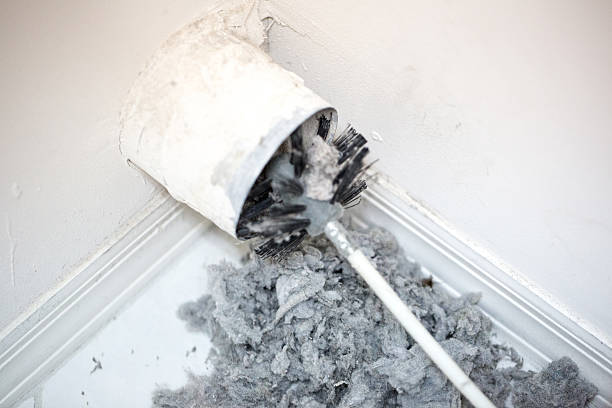 Best Dryer Vent Cleaning Services  in Oceana, WV